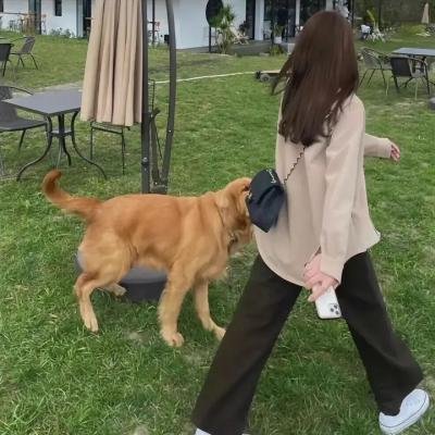 好兆头海报